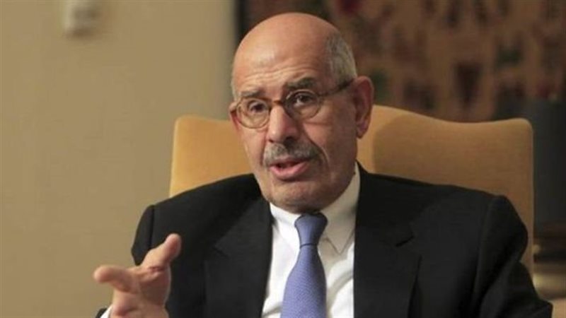 البرادعي، فيتو