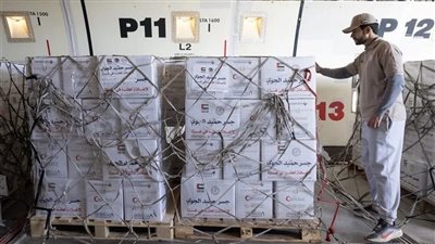 مطار العريش يستقبل طائرة مساعدات إماراتية تحمل 100 طن مواد إغاثية لغزة