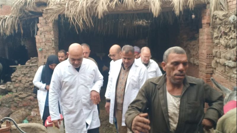 بيطري القليوبية،