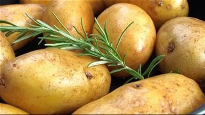 البطاطس، فيتو