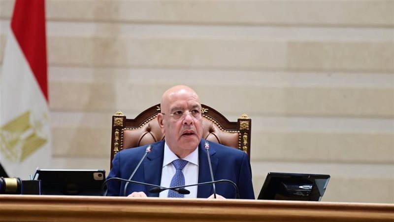 المستشار هشام بدوي