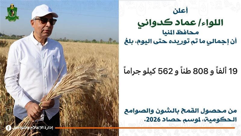 تفاصيل توريد القمح