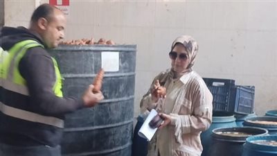 ضبط 32 طن مخلل فاسد وتحرير 143 محضر مخالفات تموينية في الدقهلية 