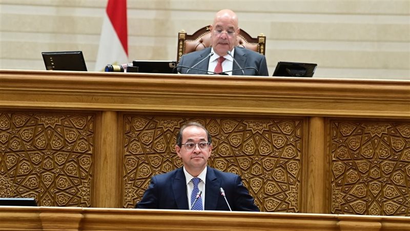  أحمد كجوك وزير المالية،