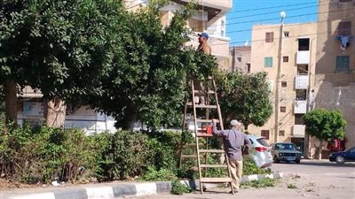 رئيس مدينة دمنهور بالبحيرة يتابع أعمال رفع كفاءة المسطحات الخضراء