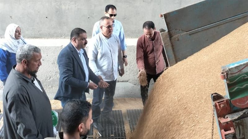 توريد القمح بالدقهلية،