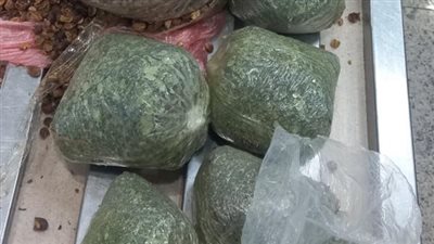 جمارك مطار القاهرة تحبط محاولة تهريب 3.5 كيلو من نبات القات المخدر (صور)