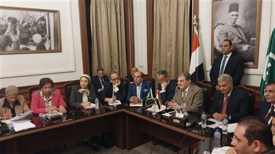 رئيس الوفد: 