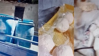 ضبط مصنع أجبان غير مرخص ومواد غذائية فاسدة ببني سويف