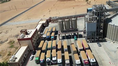 تموين الوادي الجديد: تجاوزنا 113 ألف طن قمح بالصوامع والشون