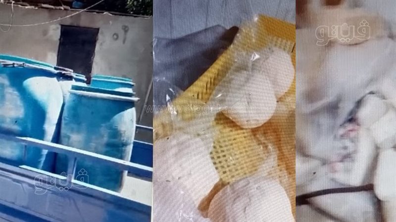 ضبط مصنع أجبان غير