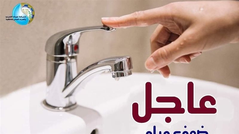 مياه الدقهلية، فيتو