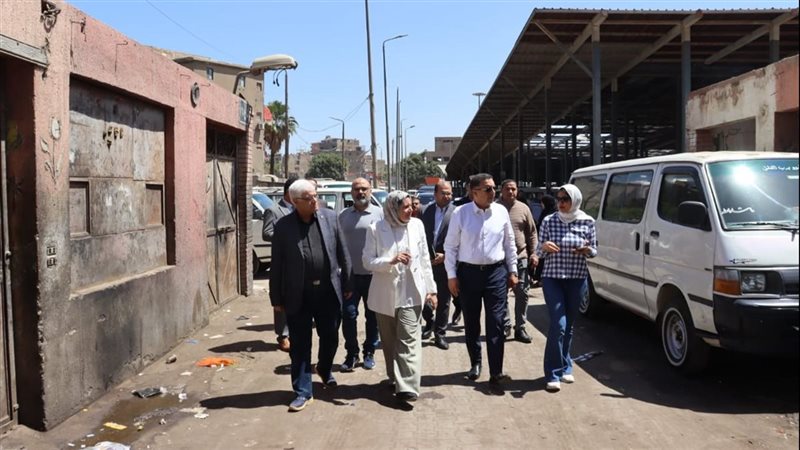 محافظ القليوبية يتابع