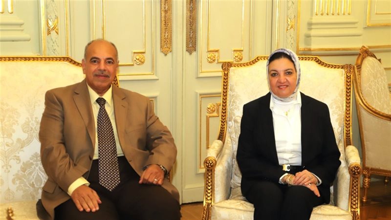 جامعة عين شمس 