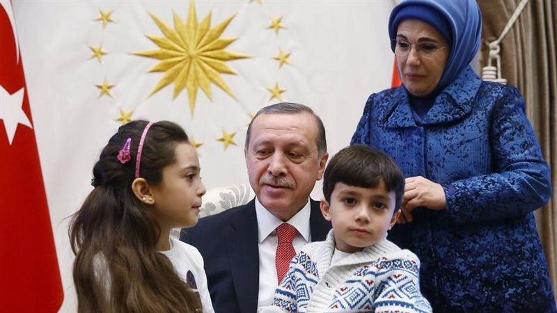 أردوغان، فيتو