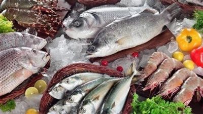 سعر السمك اليوم، انخفاض الجمبري الجامبو إلى 1150 جنيها وارتفاع جديد في البلطي