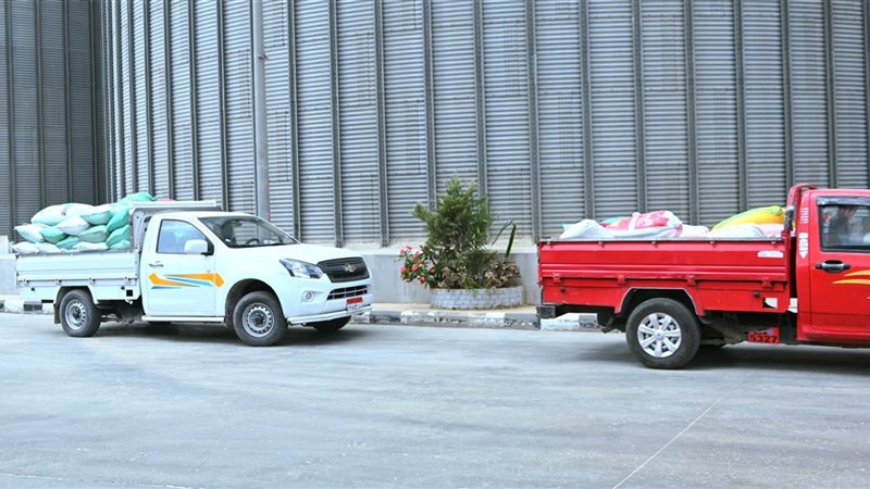 توريد القمح بالبحيرة
