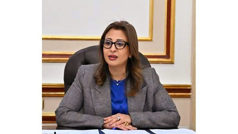 د. غادة عبد الباري،