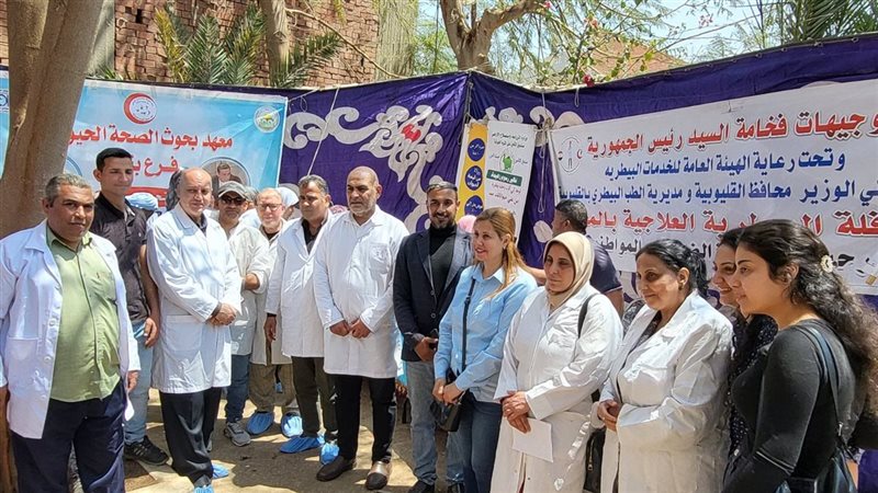تحصين الماشية بالقليوبية،
