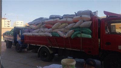 محافظ الدقهلية: توريد نحو 28 ألف طن قمح للصوامع والمواقع التخزينية 