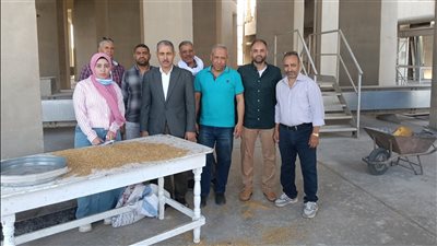 توريد 33 ألف طن قمح إلى الصوامع والشون بأسيوط منذ بدء الموسم
