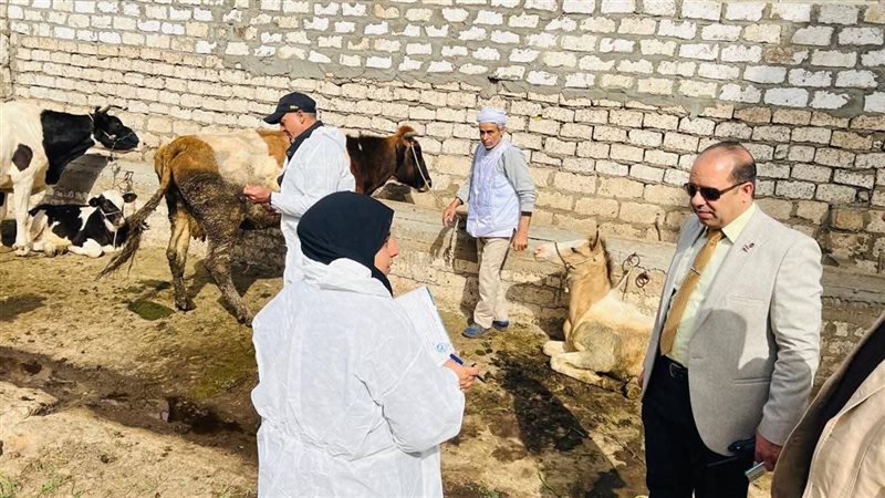 حملات بيطرية، فيتو