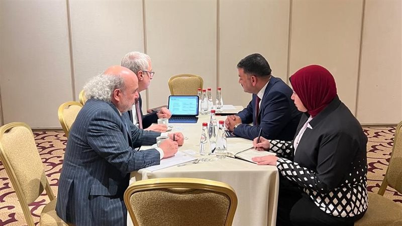 رئيس هيئة الثروة
