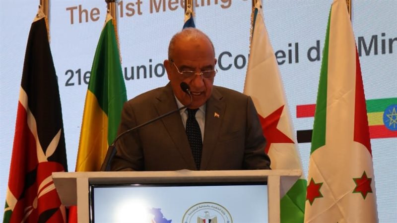 الدكتور محمود عصمت
