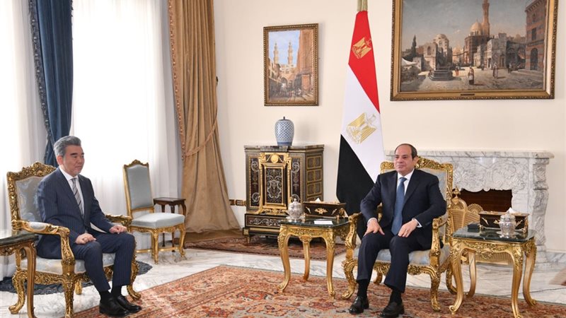 السيسي يستقبل رئيس