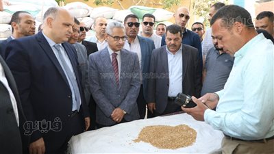 محافظ بني سويف يتابع توريد القمح ويشدد على سرعة صرف مستحقات المزارعين