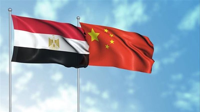 العلاقات المصرية