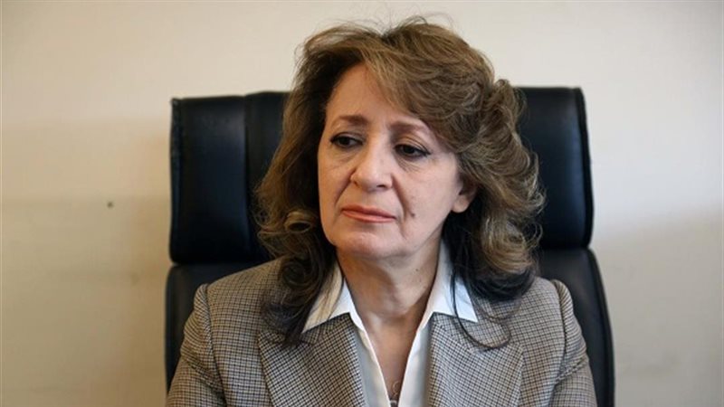د.إيناس شلتوت، أستاذ