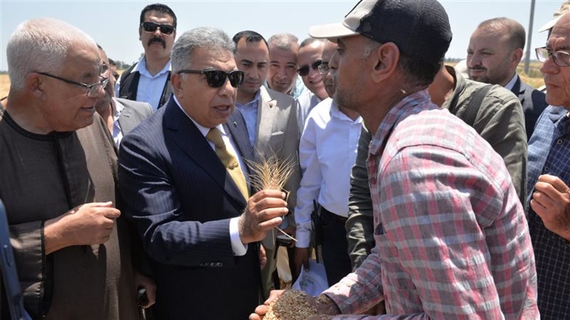حصاد القمح بالدقهلية،