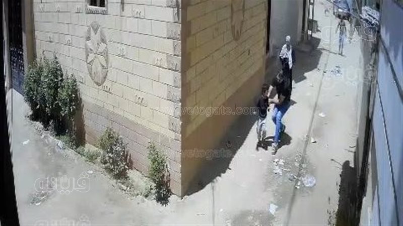 مصرع طفل على يد الكلاب