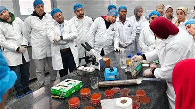 المواصفات والجودة: سلامة الغذاء أحد المحاور الأساسية لحماية صحة المواطن 