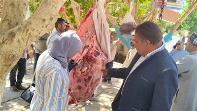 55 مخالفة تموينية وتفتيش 119 منشأة خلال 5 أيام بالوادي الجديد