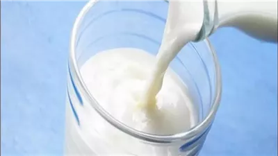 طريقة عمل اللبن الرائب فى خطوات بسيطة وأحلى من الجاهز 