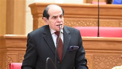 عضو تشريعية النواب يكشف مصير دعوى إنشاء مجلس قومي للرجل