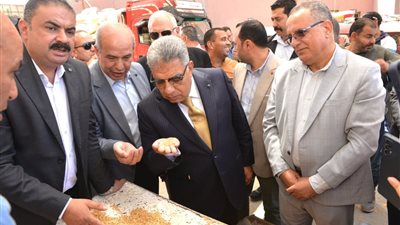 محافظ الدقهلية: توريد 52 ألف طن قمح لمواقع التخزين منذ بداية الحصاد 