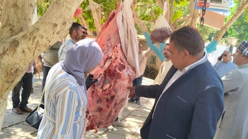 حملات تموين الوادي