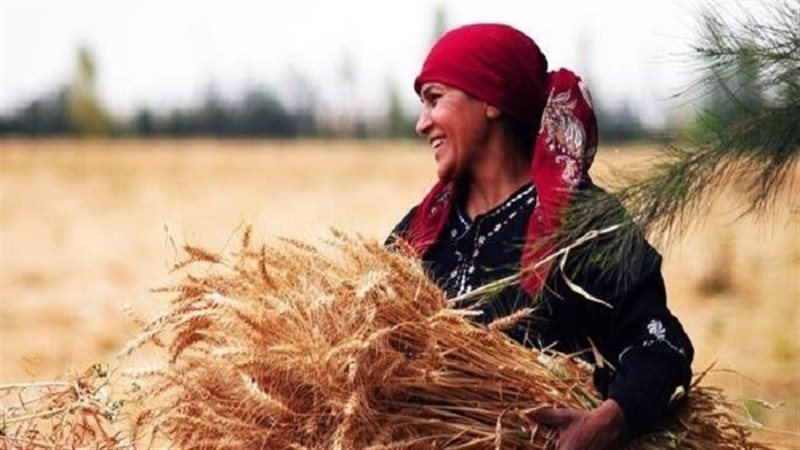 المرأة المعيلة، فيتو
