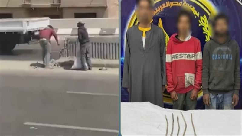 المتهمين 