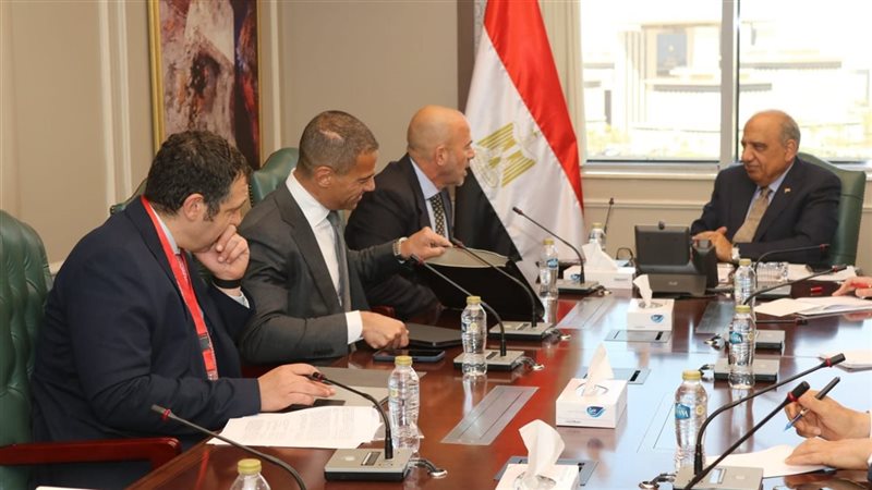 وزير الكهرباء 