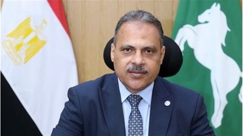 محافظ الشرقية