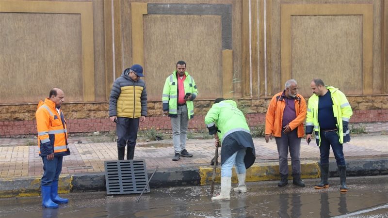 الاسكندريه 