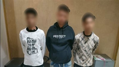 الأمن يكشف ملابسات فيديو الاعتداء على شقيق فتاة بالجيزة ويضبط المتهمين
