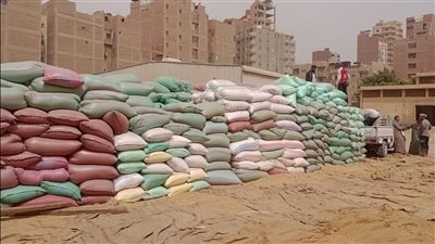 توريد 53 ألف طن قمح إلى صوامع أسيوط منذ بدء الموسم 