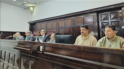 تأجيل قضية مقتل محمد المهر على يد 8 أشخاص لجلسة 2 يونيو 