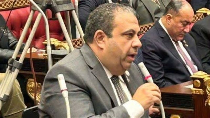 النائب أيمن الصفطي،