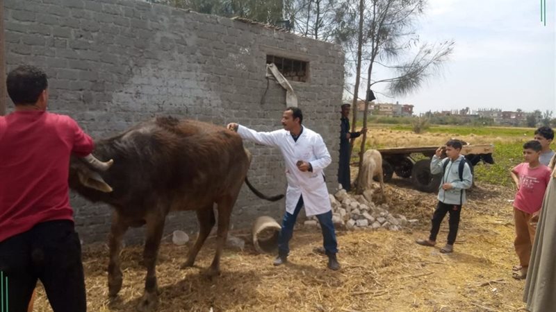قافلة طبية بيطرية